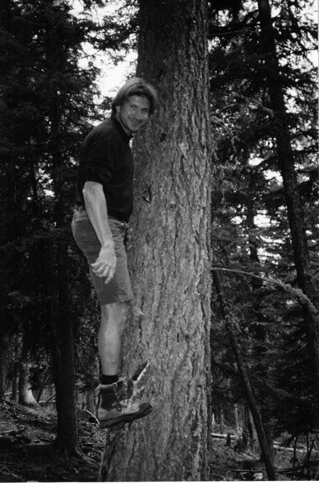 Bob's Icebox Repair - Bozeman, Montana - Bob in a Tree